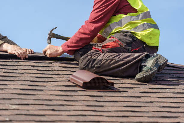 Best New Roof Installation  in Le Roy, IL