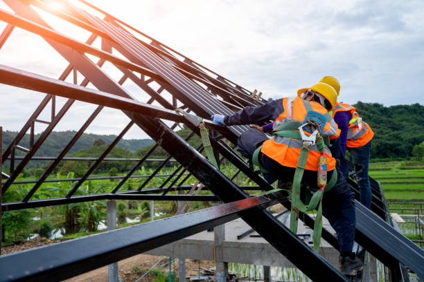 Best Storm Damage Roof Repair  in Le Roy, IL