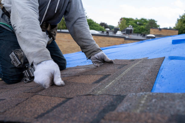 Best Roof Maintenance Services  in Le Roy, IL