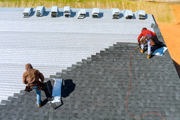 Best Roof Waterproofing Services  in Le Roy, IL