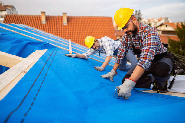 Best Local Roofing Companies  in Le Roy, IL