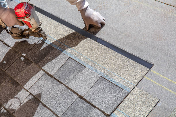 Best Metal Roofing Contractor  in Le Roy, IL