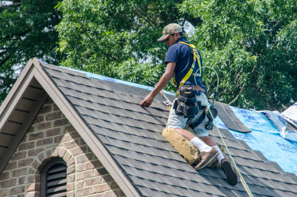 Best Roof Replacement Cost  in Le Roy, IL