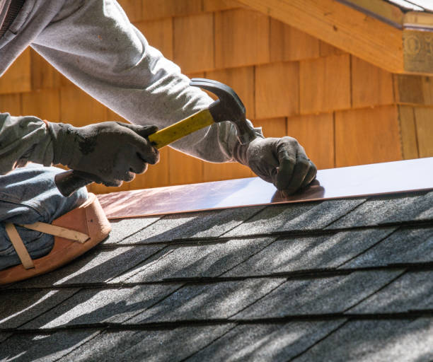 Best Roof Repair Services  in Le Roy, IL